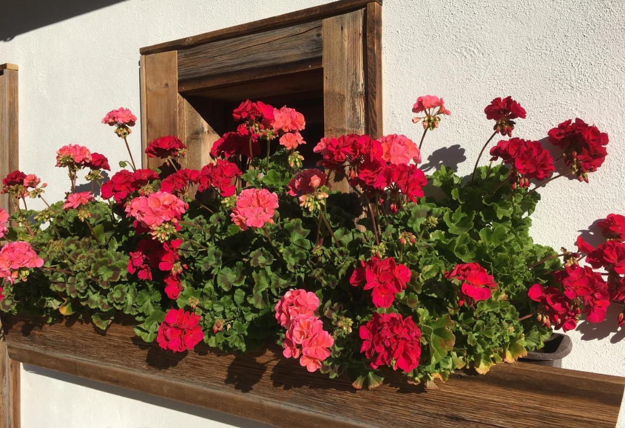 Haus Buchhammer Apartment Sankt Anton am Arlberg Luaran gambar